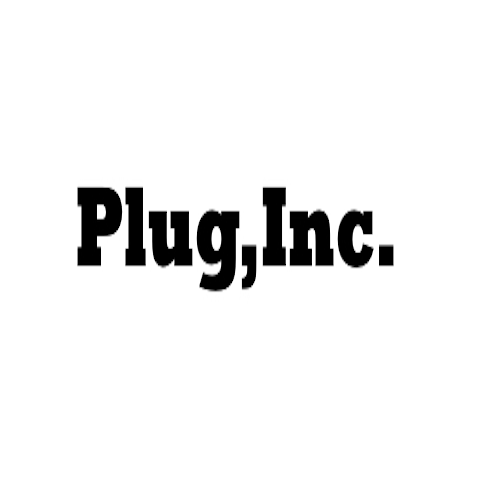 Plug